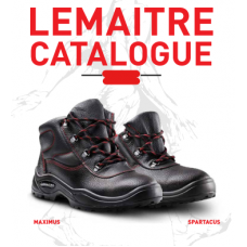 4.lemaitre Catalogue