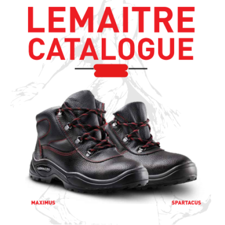 4.lemaitre Catalogue