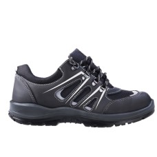 BOVA AMATHOLE 210818 BOVA AMATHOLE 210818