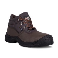 DOT XENON SB|SRC DOT XENON SB|SRC