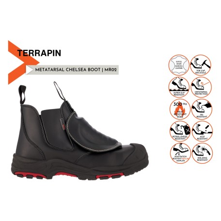 PROFIT TERRAPIN MR02